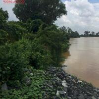 Bán nhà vườn bên sông Đồng Nai, Tân Bình, Vĩnh Cửu giá siêu rẻ