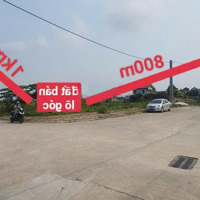 Bán Lô Góc Đấu Giá Bắc Thượng, Quang Tiến Gần Kcn, Sân Bay Nội Bài 125M Giá 38. 5 Triệu/M2
