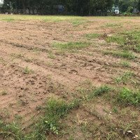 Bán Đất Xã Bình Chánh, 35 Tỷ, 10368 M2, Pháp Lý Đầy Đủ, Giá Ưu Đãi Đẹp