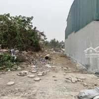 Bán Gấp 90M2 Lô Đất Đấu Giá Làng Cam - Vị Trí Đắc Địa, Đường Rộng, Ngay Chợ & Nhà Văn Hóa