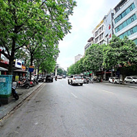 Bán Nhà Dân Xây - Khúc Thừa Dụ 50M*4T - Tt Cầu Giấy - Gần Hv Báo Chí - Đủ N/T - Chỉ Nhỉnh 13 Tỷ