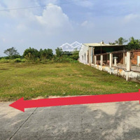 Bán Đất 1.048M2(16X66) Thổ Cư Siêu Hời Chỉ 21, 5 Triệu/M2, Mặt Tiền Đường 8, P Long Phước Tp Thủ Đức Hcm