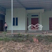 Bán Đất Tu Vũ, Thanh Thuỷ, Phú Thọ: Rộng, Thoáng, Đẹp, Giá Phải Chăng