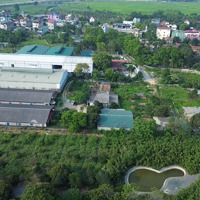 Mô Hình Nhà Xưởng - Nghỉ Dưỡng Cuối Tuần - Homestay