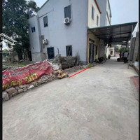 Cơ Hội Đầu Tư Sinh Lời Cao Lô Đất 56M Tại Tổ 9, Quang Minh, Mê Linh, Hà Nội
