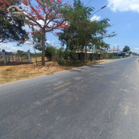 Đất Xây Kho Xưởng 3200M2 Đất Skc Mặt Tiền Đường Long Hòa Phước Vân, Cần Đước Long An