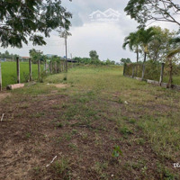 Đất Xây Kho Xưởng 3200M2 Đất Skc Mặt Tiền Đường Long Hòa Phước Vân, Cần Đước Long An
