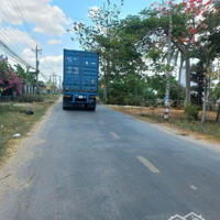 Đất Xây Kho Xưởng 3200M2 Đất Skc Mặt Tiền Đường Long Hòa Phước Vân, Cần Đước Long An