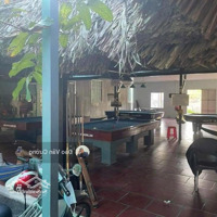 Bán Nhà Mặt Tiền Đường Đườngdiện Tích746 Tân Định Bắc Tân Uyên Bình Dương Diện Tích: 742M2 Giá Bán 5.2Ty
