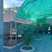 Bán Nhà Mặt Tiền Đường Đườngdiện Tích746 Tân Định Bắc Tân Uyên Bình Dương Diện Tích: 742M2 Giá Bán 5.2Ty