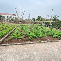 Bán Đất 88M2, 2,5 Tỷ Tại Đông Tảo, Khoái Châu, Hưng Yên Hot! Chính Chủ