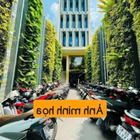 Rẻ Nhà 4Mx50M Mặt Tiền Trần Thị Năm, P.tân Chánh Hiệp, Quận 12, Giá: 6.450 Tỷ