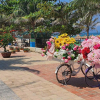 Chỉ 92 Triệu/M²: Bán Đất Gần Bãi Biển Mỹ Khê Đà Nẵng - Gần Đg Nguyễn Văn Thoại: 250M2 = 7M X 35,7M