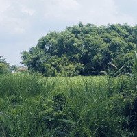 Đất Lúa Mặt Tiền Kênh 1.605M² Đông Thạnh, Hóc Môn Chỉ 3,2 Tỷ, Cơ Hội Sinh Lời Cao