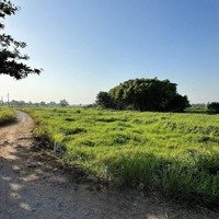 Đất Lúa Mặt Tiền Kênh 1.605M² Đông Thạnh, Hóc Môn Chỉ 3,2 Tỷ, Cơ Hội Sinh Lời Cao