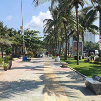 Nhỉnh 15 Tỷ: Bán Đất Gần Biển Sơn Trà Đà Nẵng - Lô Góc - Gần Đg Võ Nguyên Giáp: 210M2 = 15M X 14M