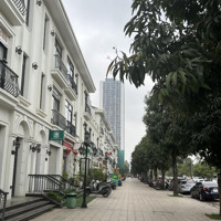 Chính Chủ Cần Bán Gấp Nhà Mặt Phố Lương Thế Vinh - Vinhomes Greenbay Mễ Trì, 80M, Kinh Doanh Đỉnh