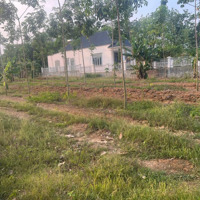 Chủ Gửi Bán Gấp 2 Lô Đất Tại Tân Lợi Giá Chỉ 240 Triệu/Lô Bán Lỗ Do Cần Tiền Gấp