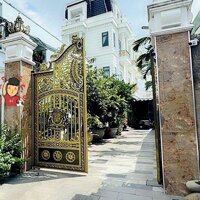 Biệt thự mặt tiền lê thị trung phú lợi bình dương 289m
