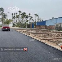 Mặt Ngõ Trải Nhựa Tại Hoà Nghĩa, Dương Kinh