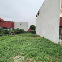 Siêu Phẩm Đất Dương Hà 117M2 Giá Bán 5.3 Tỷ -Ngõ Oto, Thoáng Mát Lựa Chọn Vàng Cho Đầu Tư Và An Cư!