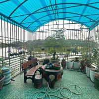 Bán Nhà Riêng Tại Hà Huy Tập, 5,6 Tỷ, 65M2,Ngõ Oto, Hàng Hiếm View Hồ Đẹp