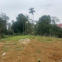 Chủ Cần Tiền Muốn Bán Nhanh Lô Đấtdiện Tích357M2 Tại Thôn Núi Bé Xã Nam Phương Tiến Chương Mỹ Hà Nội