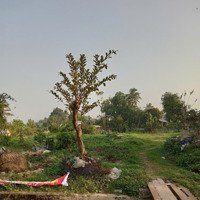 Bán Đất Tại Xã Tiên Trang, Quảng Xương, Thanh Hóa, Giá Siêu Hời 2,25 Tỷ, 137,5M2
