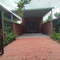 Đất Trung Tâm P. Tân An - Rộng 305 M2, Tặng Nhà Cấp 4 Còn Rất Mới Kèm Vườn Trồng Rau Sạch