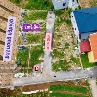 Lô Đất Rẻ Nhất Trung Nghĩa, Đồ Sơn