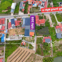 Lô Đất Rẻ Nhất Trung Nghĩa, Đồ Sơn
