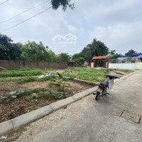 Bán Đất Tại Xã Tân Dân, Sóc Sơn, Hà Nội, 2,6 Tỷ, 88 M2