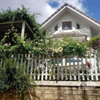 Villa Mini Sân Vườn 2 Mặt Tiền Hùng Vương 207M2 Vuông Vức 2 Tầng