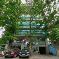 Bán Tòa Nhàmặt Tiềnkhan Hiếm Ngay Nguyễn Đình Chiểu, Q3Diện Tích26X39M Hầm 10 Tầng Tn 1.2 Tỷ/Th Giá Bán 580 Tỷ
