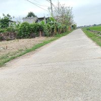 Bán Đất Tại Xã Thụy Ninh, Thái Thuỵ, Thái Bình, Giá Ưu Đãi 830 Triệu, 100M2