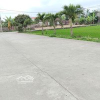 Bán Đất Tại Xã Thụy Ninh, Thái Thuỵ, Thái Bình, Giá Ưu Đãi 830 Triệu, 100M2