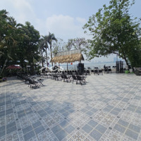 Vip Cho Thuê Mb 300M-10M Mặt Tiền Phố Nguyễn Đình Thi View Hồ Tây Siêu Đẹp Làm Nhà Hàng Cafe, Spa