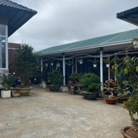 Bán Biệt Thự Đẹp Hai Mặt Tiền 740M2 (300M2 Thổ Cư) - Đinh Công Tráng, P7