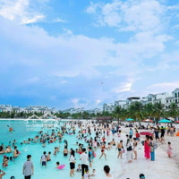 Gia Đình Cần Bán Gấp Biệt Thự Đơn Lập Góc Sao Biển17-32 View Biển Hồ 256M2(Đn) Vinhomes Ocean Park