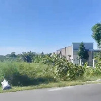 Bán 900M Đất Mặt Tiền Đường 719 - Kê Gà - Tân Thành