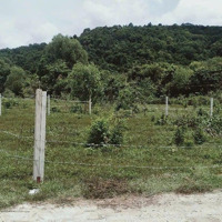 Bán Đất 500M2 Tại Xã Cửa Dương, 7 Triệu / M2, Phú Quốc, Kiên Giang