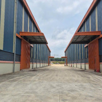 Cho Thuê Kho, Nhà Xưởng Thống Nhất Đồng Nai, Giá Cực Chất 97 Nghìn / M2, 4515 M2 Đến 18000M2