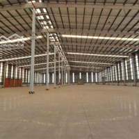 Cho Thuê Kho, Nhà Xưởng Thống Nhất Đồng Nai, Giá Cực Chất 97 Nghìn / M2, 4515 M2 Đến 18000M2
