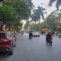 Chỉ Vài Bước Chân Ra Mặt Phố Nguyễn Khuyến - Vị Trí Đắc Địa View Công Viên - Ô Tô Vào Nhà