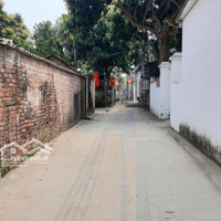 Thôn Tằng My. Sát Bìa Làng. Cách Vđ3 Chỉ 400M. Full Thổ. 55 Triệu/M2