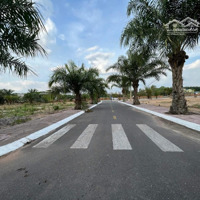Đầu Tư Đất Nền Long Thành Đón Sóng Sân Bay Quốc Tế Tỷ Đô - Giá Tốt Chỉ 10 Triệu/M2 - Shr