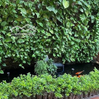 19 Triệu/Tháng! Biệt Thự Thụy Khuê 150M2, 3 Tầng, Mt8M.