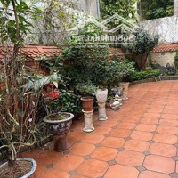 19 Triệu/Tháng! Biệt Thự Thụy Khuê 150M2, 3 Tầng, Mt8M.