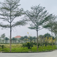 Chính Chủ Bán Lô Đất Siêu Đẹp Làn 2 Tl277 Kđt Vườn Hồng Nam Hồng Đồng Kị - Từ Sơn, Bắc Ninh