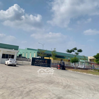 Bán Nhanh 275M2 Đất Thổ Cư Gần Trục Ql 13 Ngay Chợ, Trường Học Dân Đông. Giá 290 Triệu
